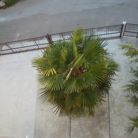 Apartment Branka Biograd Na Moru
