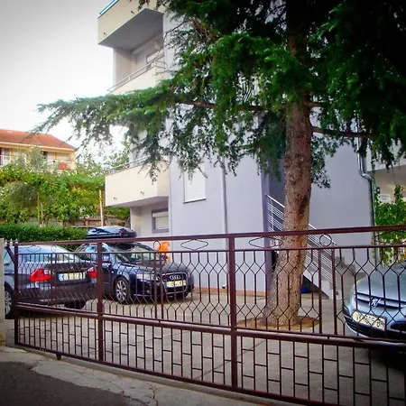 Apartment Branka *