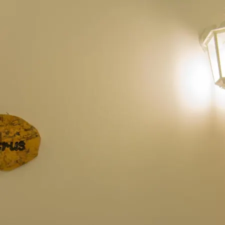 Branka Apartment